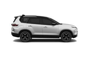 Right Side Profile View Image of Safari