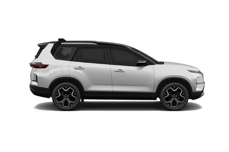 Right Side Profile View Image of Safari