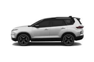 Side view Image of Safari