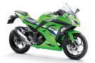 Kawasaki Ninja 300