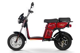 Detel EV Veeru