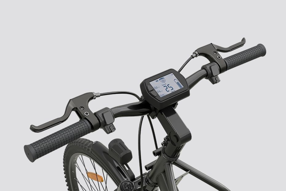 Handle Bar View of Hum