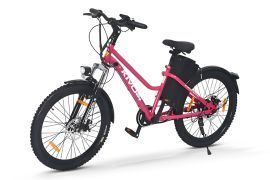 Motovolt Kivo 24