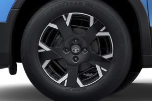 Wheel arch Image of Punch