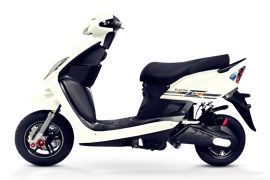 Wroley Platina