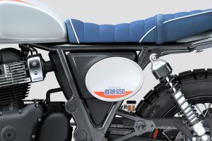 Central Panel of Bear 650