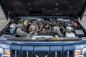 Engine Image of Bolero