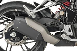 Exhaust (End Can) of Xtreme 250R