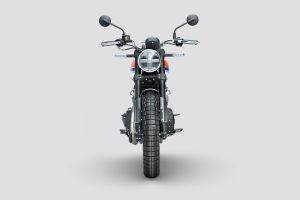 Front View of Bear 650