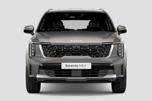 Front View Image of Sorento