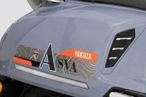 Graphics of Asva