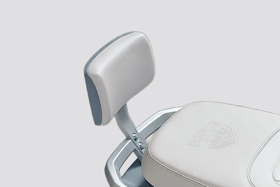 Pillion Backrest of Rush