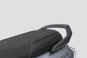 Pillion Grab Rail of Nexus