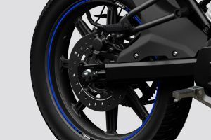 Rear Brake of RVX