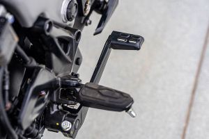 Rear Brake Lever of Model_