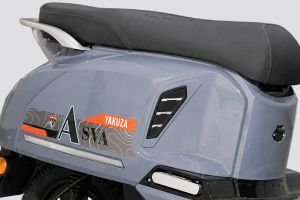 Rear Fairing of Asva