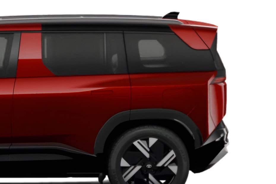 Rear Fender Image of Sierra