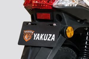Rear Number Plate Duster