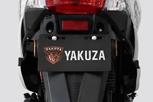 Rear Number Plate Cherry