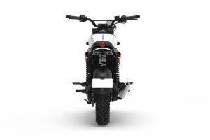 Rear View of Scrambler 350