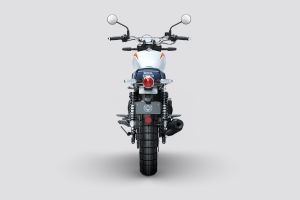 Rear View of Bear 650