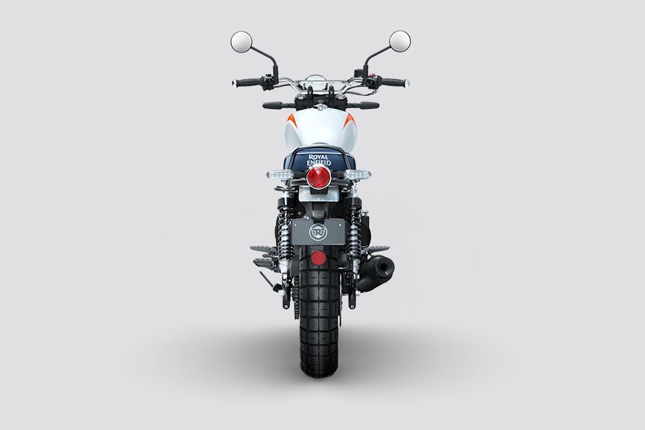 Rear View of Bear 650