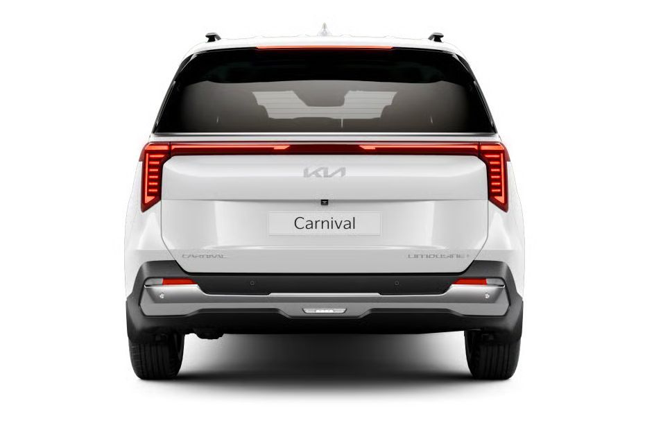 Rear View Image of Carnival