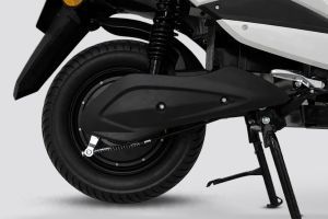 Rear Wheel of Cherry