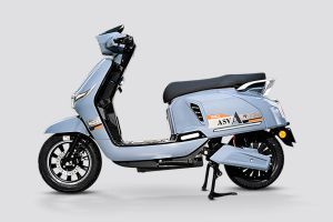 Side Profile View (Left) of Asva