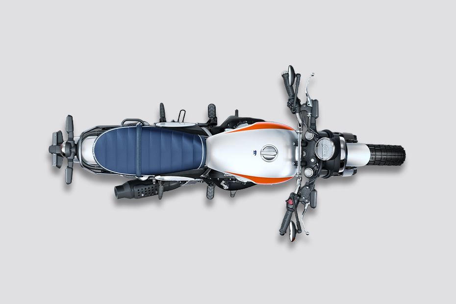 Top View of Bear 650
