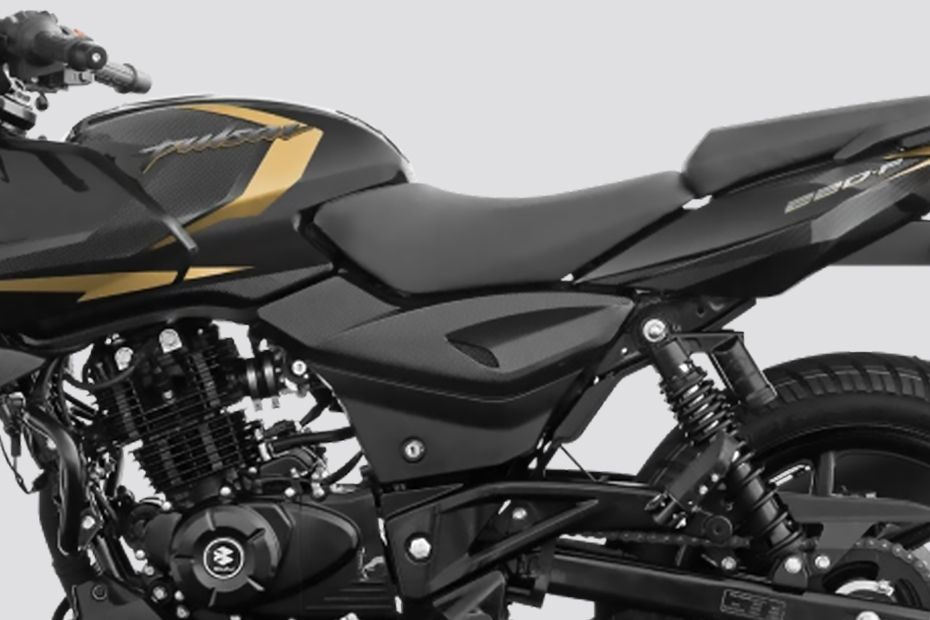 Central Panel of Pulsar 220F