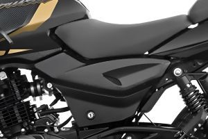 Central Panel of Pulsar 220 F