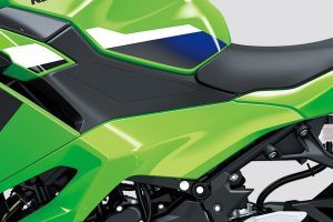 Central Panel of Ninja 500
