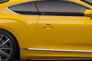 Door Handle Image of Continental