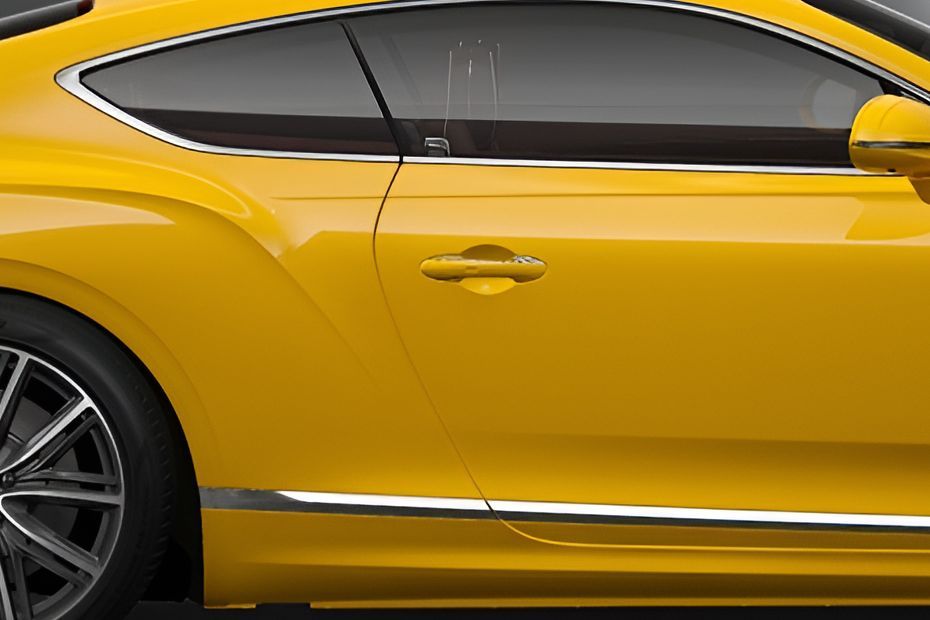 Door Handle Image of Continental