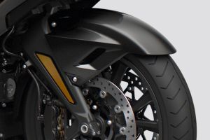 Front Mudguard & Suspension of Gold Wing