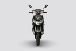 Front View of Rapid