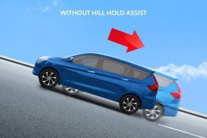 Hill Assist Image of Rumion