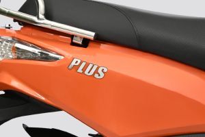 Model Badge of Plus