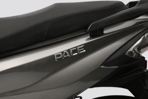 Model Badge of Pace