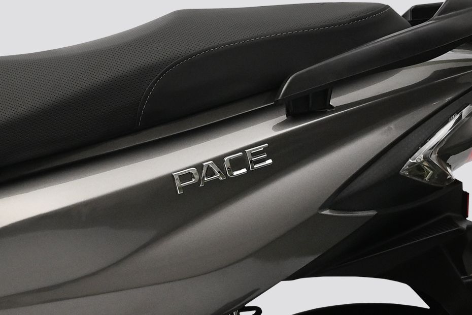 Model Badge of Pace