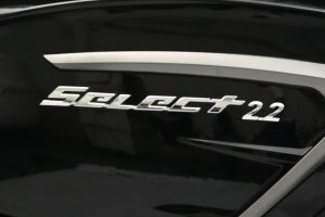 Model Badge of Select