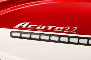 Model Badge of Acute 2.2