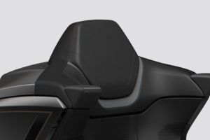 Pillion Backrest of Gold Wing