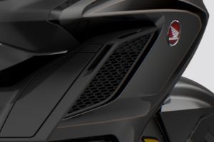 Radiator of Gold Wing