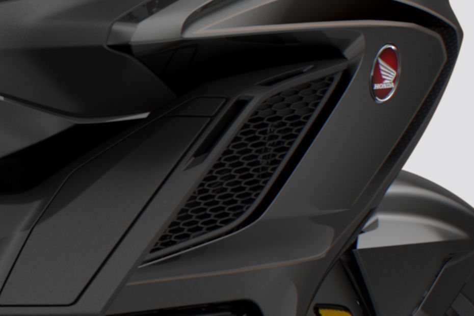 Radiator of Gold Wing