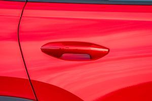 Rear Door Handle Image of Kodiaq RS