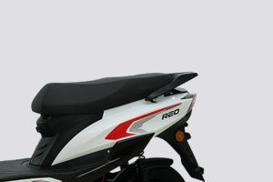 Rear Fairing of Reo