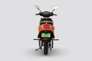 Rear View of Plus