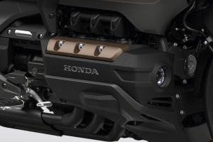 Engine (Right) of Gold Wing